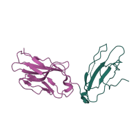 The deposited structure of PDB entry 1zgl contains 8 copies of CATH domain 2.60.40.10 (Immunoglobulin-like) in T cell receptor alpha chain constant. Showing 2 copies in chain S [auth U].
