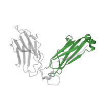 The deposited structure of PDB entry 1zgl contains 4 copies of Pfam domain PF07654 (Immunoglobulin C1-set domain) in T cell receptor beta constant 1. Showing 1 copy in chain T [auth V].