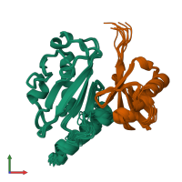 PDB entry 1zgu coloured by chain, ensemble of 10 models, front view.