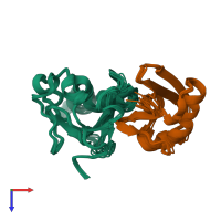 PDB entry 1zgu coloured by chain, ensemble of 10 models, top view.