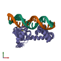 PDB entry 1zgw coloured by chain, ensemble of 20 models, front view.