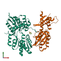 Hetero dimeric assembly 1 of PDB entry 1zhh coloured by chemically distinct molecules, front view.