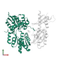 Autoinducer 2-binding periplasmic protein LuxP in PDB entry 1zhh, assembly 1, front view.