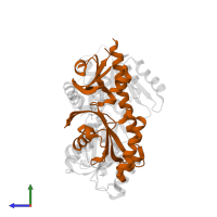 Autoinducer 2 sensor kinase/phosphatase LuxQ in PDB entry 1zhh, assembly 1, side view.