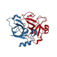 The deposited structure of PDB entry 1zhp contains 2 copies of CATH domain 2.40.10.10 (Thrombin, subunit H) in Coagulation factor XIa light chain. Showing 2 copies in chain A.