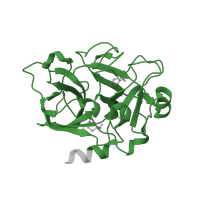 The deposited structure of PDB entry 1zhp contains 1 copy of Pfam domain PF00089 (Trypsin) in Coagulation factor XIa light chain. Showing 1 copy in chain A.
