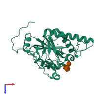 PDB entry 1zi4 coloured by chain, top view.