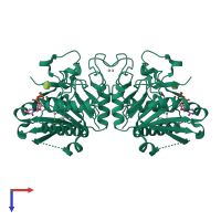 Homo dimeric assembly 2 of PDB entry 1zjp coloured by chemically distinct molecules, top view.