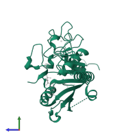 Fucosylglycoprotein alpha-N-acetylgalactosaminyltransferase soluble form in PDB entry 1zjp, assembly 1, side view.