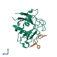 Hetero dimeric assembly 2 of PDB entry 1zkf coloured by chemically distinct molecules, side view.