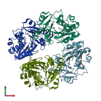 PDB entry 1zkp coloured by chain, front view.