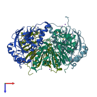 PDB entry 1zkp coloured by chain, top view.