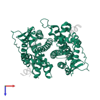 Estrogen receptor in PDB entry 1zky, assembly 1, top view.