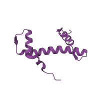 The deposited structure of PDB entry 1zla contains 2 copies of CATH domain 1.10.20.10 (Histone, subunit A) in Histone H4. Showing 1 copy in chain H [auth F].