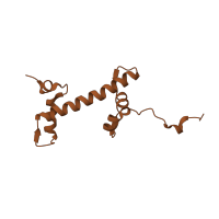 The deposited structure of PDB entry 1zla contains 2 copies of CATH domain 1.10.20.10 (Histone, subunit A) in Histone H2A type 1. Showing 1 copy in chain E [auth C].