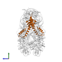 Histone H3.2 in PDB entry 1zla, assembly 1, side view.