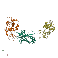 PDB entry 1zmy coloured by chain, front view.