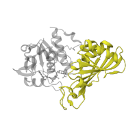 The deposited structure of PDB entry 1znq contains 4 copies of SCOP domain 55348 (GAPDH-like) in Glyceraldehyde-3-phosphate dehydrogenase. Showing 1 copy in chain A [auth O].