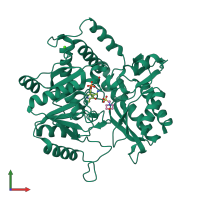PDB entry 1zob coloured by chain, front view.