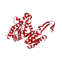 The deposited structure of PDB entry 1zor contains 2 copies of CATH domain 3.40.718.10 (Isopropylmalate Dehydrogenase) in Isocitrate dehydrogenase [NADP]. Showing 1 copy in chain A.