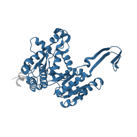 The deposited structure of PDB entry 1zor contains 2 copies of Pfam domain PF00180 (Isocitrate/isopropylmalate dehydrogenase) in Isocitrate dehydrogenase [NADP]. Showing 1 copy in chain A.
