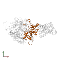 Succinate dehydrogenase [ubiquinone] iron-sulfur subunit, mitochondrial in PDB entry 1zp0, assembly 1, front view.