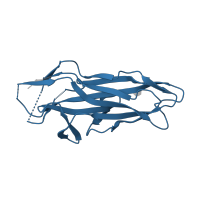 The deposited structure of PDB entry 1zpl contains 2 copies of Pfam domain PF09222 (Fimbrial adhesin F17-AG, lectin domain) in F17a-G fimbrial adhesin. Showing 1 copy in chain A.