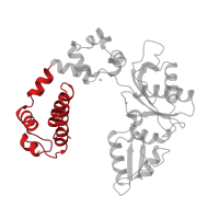 The deposited structure of PDB entry 1zqc contains 1 copy of CATH domain 1.10.150.110 (DNA polymerase; domain 1) in DNA polymerase beta. Showing 1 copy in chain C [auth A].