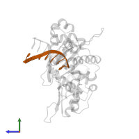 DNA (5'-D(*TP*CP*TP*AP*AP*TP*G)-3') in PDB entry 1zqc, assembly 1, side view.