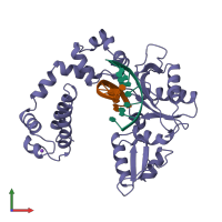 PDB entry 1zqi coloured by chain, front view.