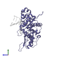 DNA polymerase beta in PDB entry 1zqk, assembly 1, side view.