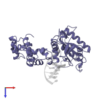 DNA polymerase beta in PDB entry 1zqk, assembly 1, top view.