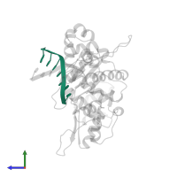 DNA (5'-D(*CP*AP*TP*TP*AP*GP*AP*A)-3') in PDB entry 1zqr, assembly 1, side view.