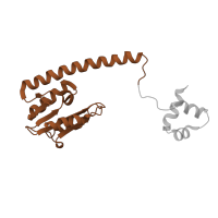 The deposited structure of PDB entry 1zr4 contains 4 copies of SCOP domain 53042 (gamma,delta resolvase, catalytic domain) in Transposon gamma-delta resolvase. Showing 1 copy in chain M [auth A].