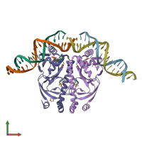 PDB entry 1zrf coloured by chain, front view.