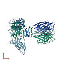 PDB entry 1zru coloured by chain, front view.