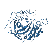 The deposited structure of PDB entry 1zsa contains 1 copy of Pfam domain PF00194 (Eukaryotic-type carbonic anhydrase) in Carbonic anhydrase 2. Showing 1 copy in chain A.