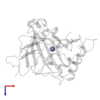 ZINC ION in PDB entry 1zsc, assembly 1, top view.