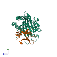 PDB entry 1zsd coloured by chain, side view.
