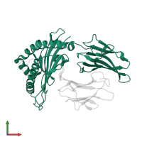 HLA class I histocompatibility antigen, B alpha chain in PDB entry 1zsd, assembly 1, front view.