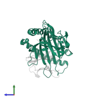 HLA class I histocompatibility antigen, B alpha chain in PDB entry 1zsd, assembly 1, side view.
