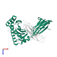 HLA class I histocompatibility antigen, B alpha chain in PDB entry 1zsd, assembly 1, top view.