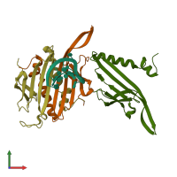 PDB entry 1zse coloured by chain, front view.