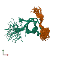 PDB entry 1zsg coloured by chain, ensemble of 30 models, front view.
