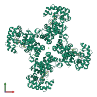 Homo tetrameric assembly 1 of PDB entry 1zsx coloured by chemically distinct molecules, front view.