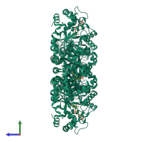 Homo tetrameric assembly 1 of PDB entry 1zsx coloured by chemically distinct molecules, side view.