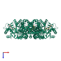 Homo tetrameric assembly 1 of PDB entry 1zsx coloured by chemically distinct molecules, top view.