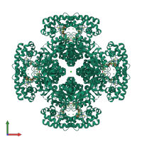 Homo octameric assembly 2 of PDB entry 1zsx coloured by chemically distinct molecules, front view.
