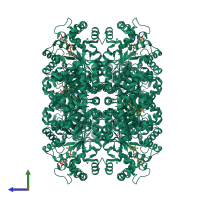 Homo octameric assembly 2 of PDB entry 1zsx coloured by chemically distinct molecules, side view.