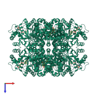 Homo octameric assembly 2 of PDB entry 1zsx coloured by chemically distinct molecules, top view.